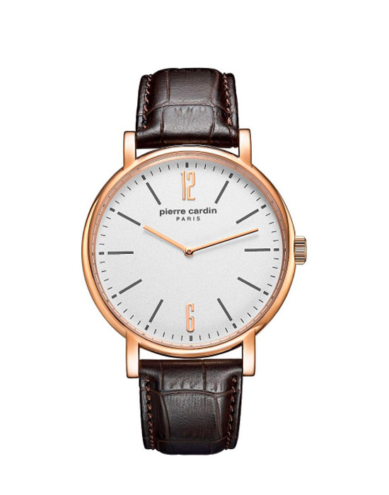 Часы Pierre Cardin Gents PC902251F03